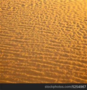 the brown sand dune in the sahara morocco desert