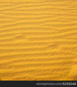 the brown sand dune in the sahara morocco desert