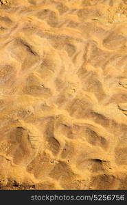 the brown sand dune in the sahara morocco desert