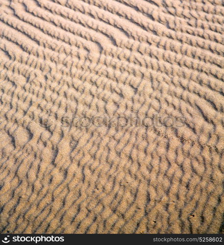 the brown sand dune in the sahara morocco desert