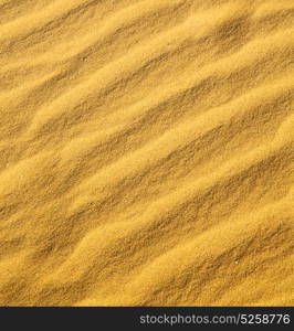 the brown sand dune in the sahara morocco desert