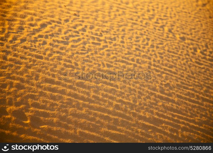 the brown sand dune in the sahara morocco desert