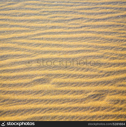 the brown sand dune in the sahara morocco desert