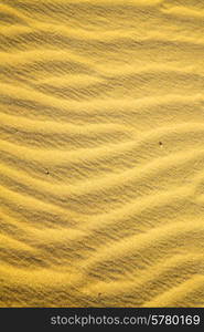 the brown sand dune in the sahara morocco desert