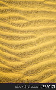 the brown sand dune in the sahara morocco desert