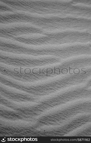 the brown sand dune in the sahara morocco desert