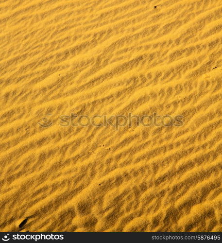 the brown sand dune in the sahara morocco desert