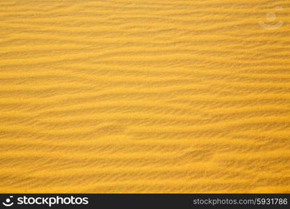 the brown sand dune in the sahara morocco desert