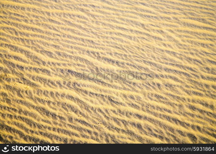 the brown sand dune in the sahara morocco desert