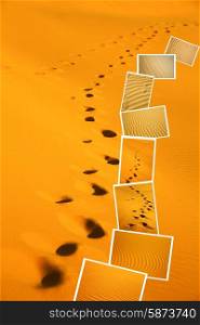 the brown sand dune in the sahara morocco desert in wallpaper