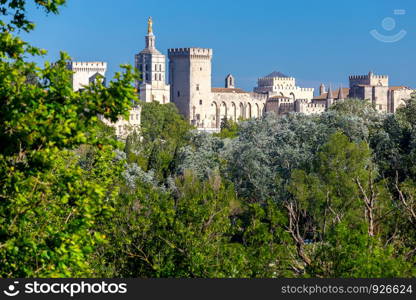 The building of the famous medieval papal palace on a sunny day. Avignon. France.. Avignon. Provence. The famous papal palace on a sunny day.