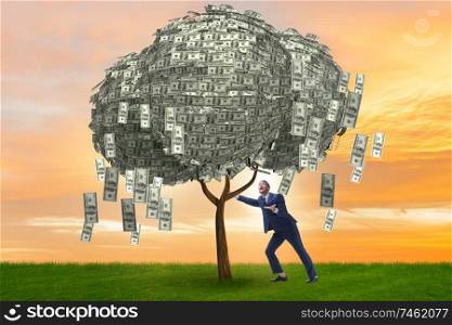 The businessman with money tree in business concept. Businessman with money tree in business concept
