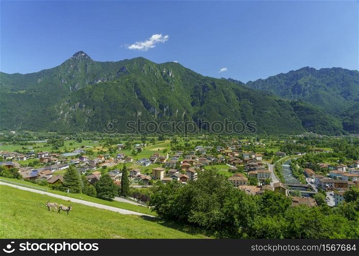 The Caffaro valley, near Bagolino in Brescia province, Lombardy, Italy, seen from the road of Cerreto. Donkeys