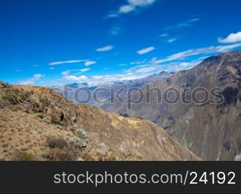 The canyon Colca is the deepest in the world