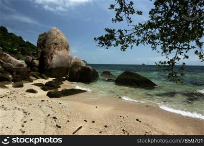 the Cape Je Ta Gang Beach on the Ko Tao Island in the Gulf of Thailand in the southeast of Thailand in Southeastasia.. ASIA THAILAND KO TAO