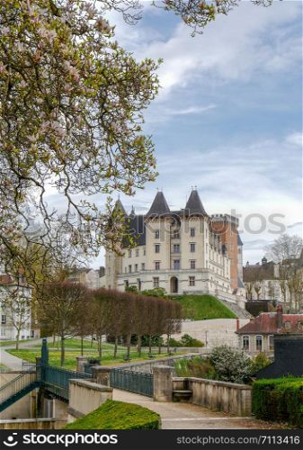 the castle of Pau city in France