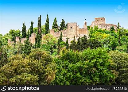 The Castle of Tomar, Tomar city in Portugal