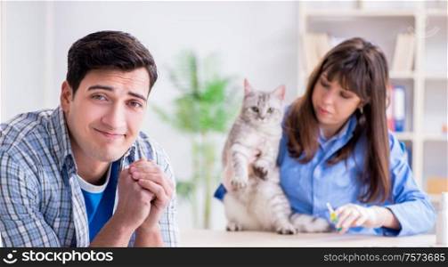 The cat being examining in vet clinic. Cat being examining in vet clinic