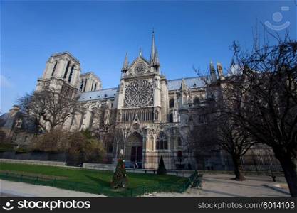 The Cathedral of Notre Dame of Paris in an Autumn morning