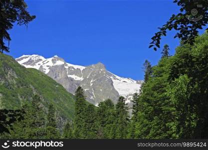 The Caucasus Mountains Peaks Under Snow And Clear Blue Sky and green forest foreground summer time