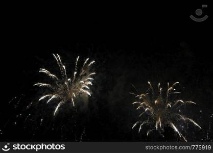 The Celebration colored firework flashing in the black night sky background