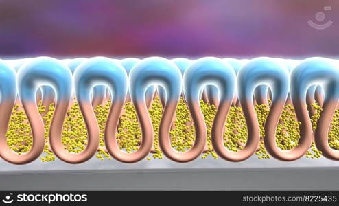 The cell membrane, also known as the plasma membrane, is a double layer of lipids and proteins that surrounds a cell and separates the cytoplasm from its surrounding environment. 3D Illustration. Interactions of synthetic polymers with cell membranes and model membrane system