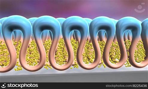 The cell membrane, also known as the plasma membrane, is a double layer of lipids and proteins that surrounds a cell and separates the cytoplasm from its surrounding environment. 3D Illustration. Interactions of synthetic polymers with cell membranes and model membrane system