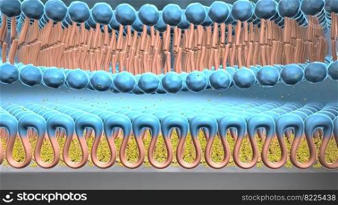 The cell membrane, also known as the plasma membrane, is a double layer of lipids and proteins that surrounds a cell and separates the cytoplasm from its surrounding environment. 3D Illustration. Interactions of synthetic polymers with cell membranes and model membrane system