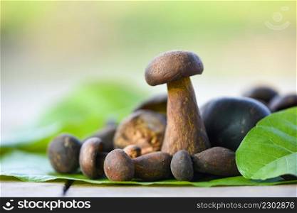 The Cep, Bolete Mushroom on leaf, Fresh raw wild mushroom organic food in a forest autumn - cep, black penny bun, porcino or king boletus, usually called black porcini mushroom
