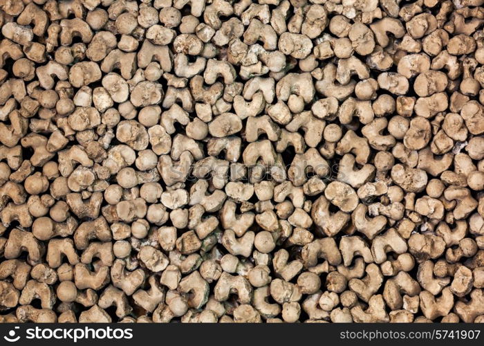 The Chapel of Bones (Capela dos Ossos) is one of the best known monuments in Evora, Portugal&#xA;