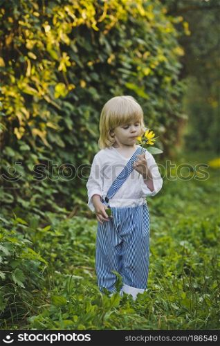 The child is smelling the flower.. A small child sniffing a flower 4773.