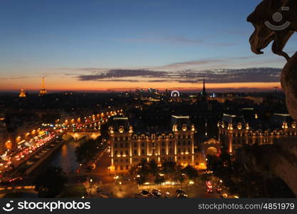 The Chimeras of Notre Dame watching the sunset in Paris