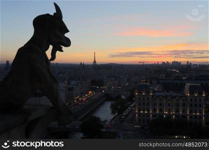 The Chimeras of Notre Dame watching the sunset in Paris