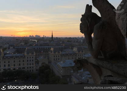 The Chimeras of Notre Dame watching the sunset in Paris