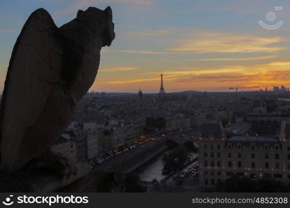 The Chimeras of Notre Dame watching the sunset in Paris