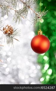 The Christmas red ball weighs on a pine branch. Ball