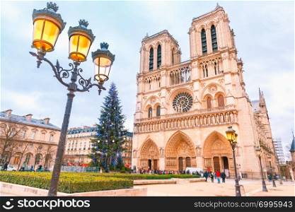 The Christmas tree in front of main west facade of Cathedral of Notre Dame de Paris, France. Cathedral of Notre Dame de Paris at Christmas