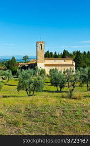 The Church in the Middle of an Olive Grove, Italy