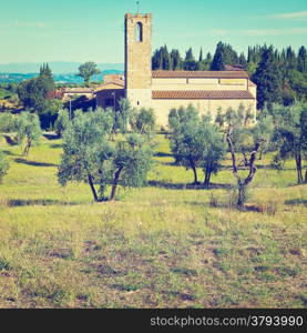 The Church on the Middle of an Olive Grove in Italy, Instagram Effect