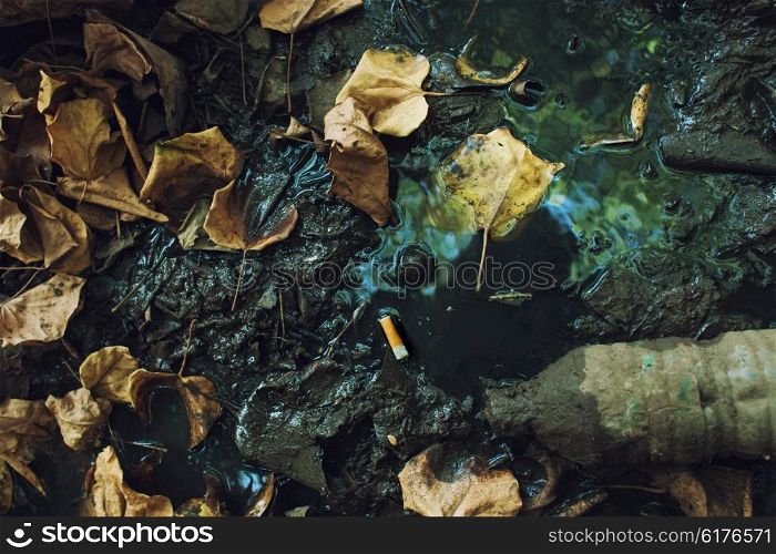 The cigarette butt lying in a puddle