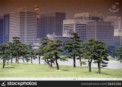 The City centre at the Imperial Palace of Tokyo in Japan in Asia,&#xA;&#xA;&#xA;&#xA;