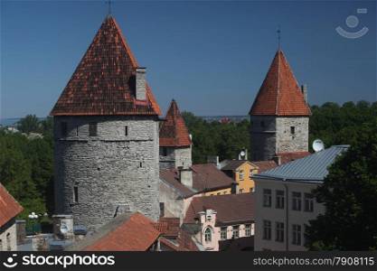 the City wall of the old city of Tallinn in Estonia in the Baltic countrys in Europe.. EUROPE ESTONIA TALLINN