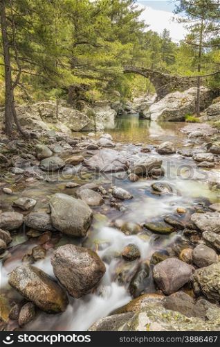 The clear mountain waters of the Tartagine river flow under an ancient Genoese bridge in the Tartagine forest near Mausoleo in the Balagne region of Corsica