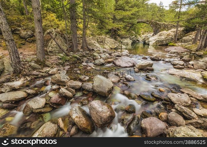 The clear mountain waters of the Tartagine river flow under an ancient Genoese bridge in the Tartagine forest near Mausoleo in the Balagne region of Corsica