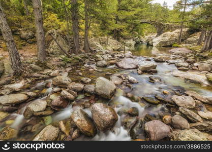 The clear mountain waters of the Tartagine river flow under an ancient Genoese bridge in the Tartagine forest near Mausoleo in the Balagne region of Corsica