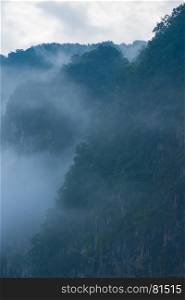 The cliffs covered with forests are shrouded in thick white fog
