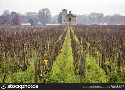 The Clos de Vougeot vineyard in Burgundy is planted with pinot noir grapevines. The stone barn is a typical outbuilding for the area.&#xA;