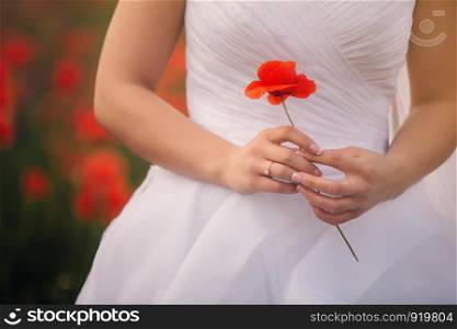 The close-up view of the hands of the bride is holding the poppy flower. Wedding day. The close-up view of the hands of the bride is holding the poppy flower. Wedding concept