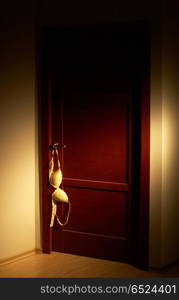 The closed door with a brassiere hanging on the handle. Door
