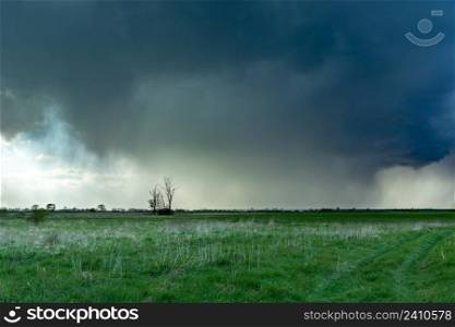 The cloudburst over the meadow with trees, Czulczyce, Lubelskie, Poland